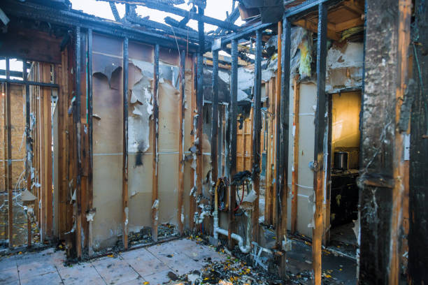 Professional Soot Cleanup technician working in Martinsville, IN